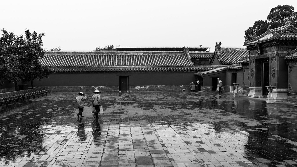 Professional construction team working together on a home improvement project site